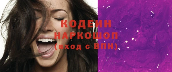 мдпв Козельск
