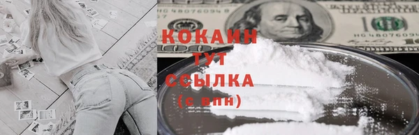 стаф Козловка