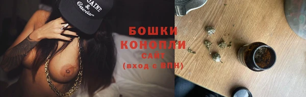 стаф Козловка