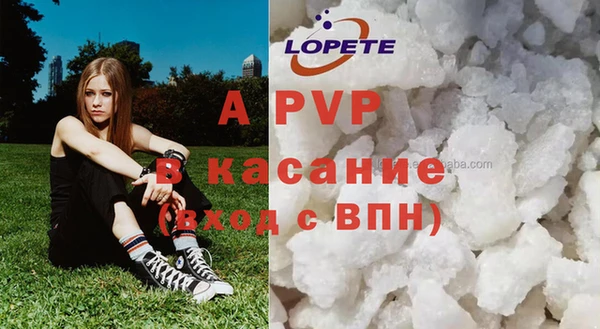 стаф Козловка