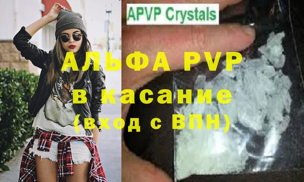 стаф Козловка