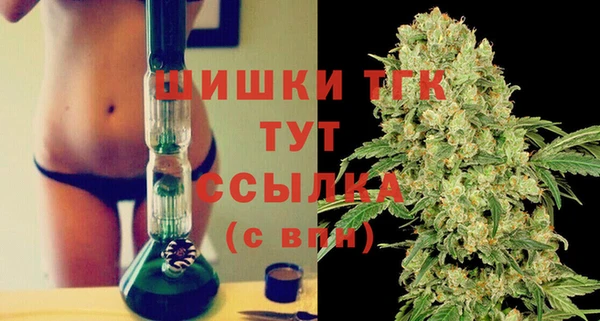 стаф Козловка
