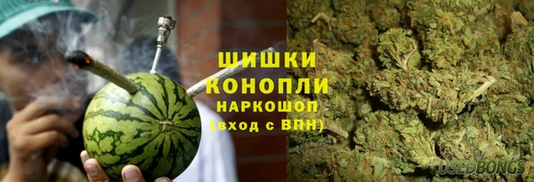мдпв Козельск