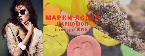 стаф Козловка