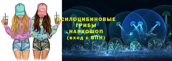 мдпв Козельск