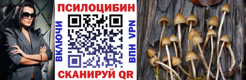 Псилоцибиновые грибы прущие грибы  Чернушка 
