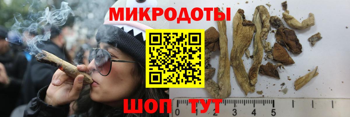 Псилоцибиновые грибы прущие грибы Чернушка