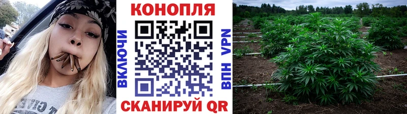 Каннабис ГИДРОПОН  закладка  Чернушка 